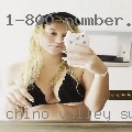 Chino Valley swingers