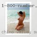 Chino Valley swingers