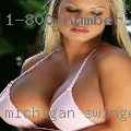 Michigan swingers