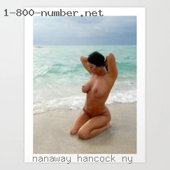 Nanaway Hancock NY