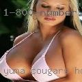 Yuma, cougars horny